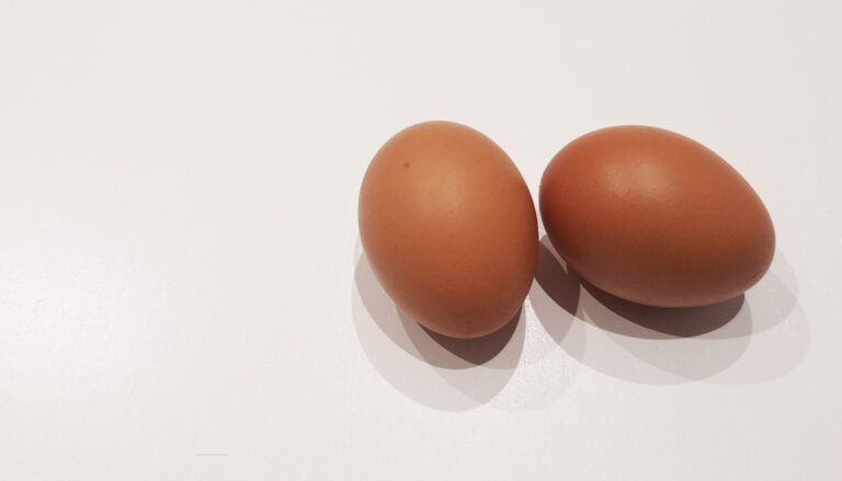 huevos