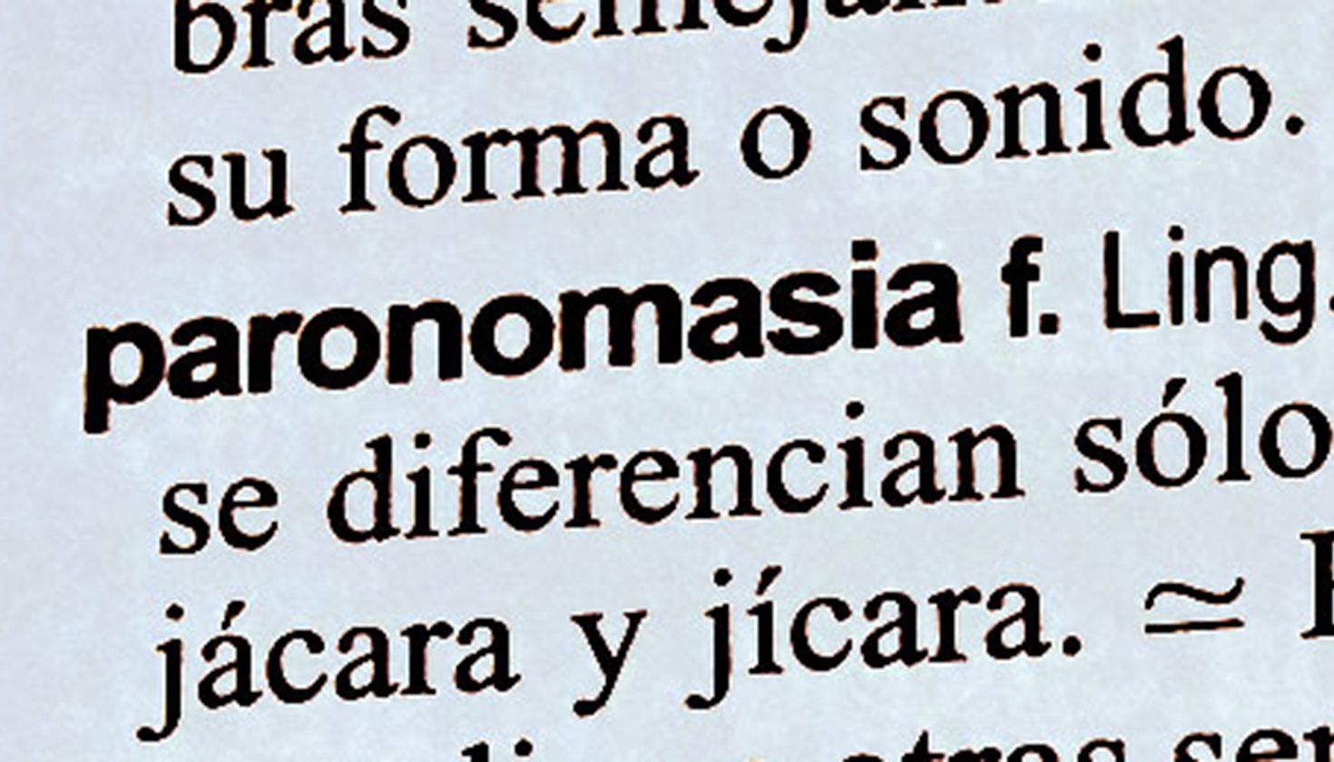 Paronomasia